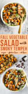 Fall Vegetable Salad with Smoky Tempeh - Easy Vegan & Gluten Free Recipe