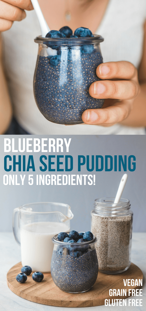 blueberry chia seed pudding pinterest