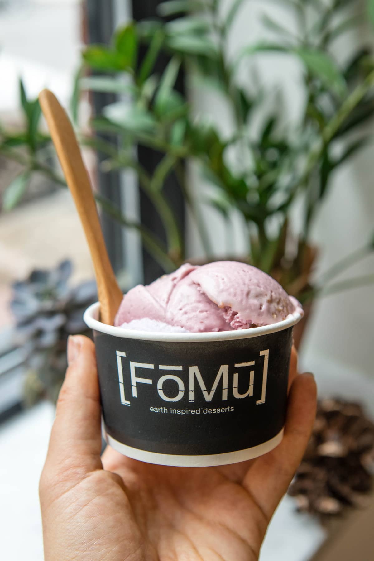 coconut milk ice cream from fomu