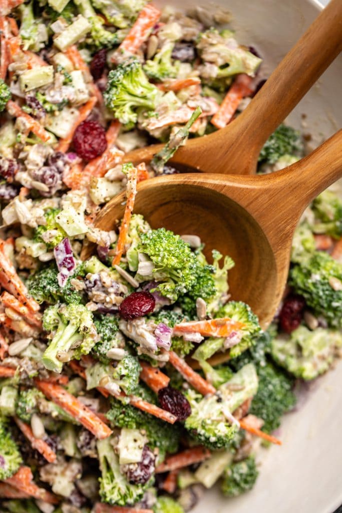 Crunchy_Broccoli_Salad_FromMyBowl_Vegan_GlutenFree-6 - From My Bowl