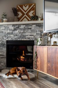 dog chewing bone on fuzzy blanket by grey stone fireplace