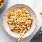 bowl of quinoa with butternut squash and chicl