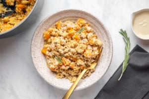 bowl of quinoa with butternut squash and chicl