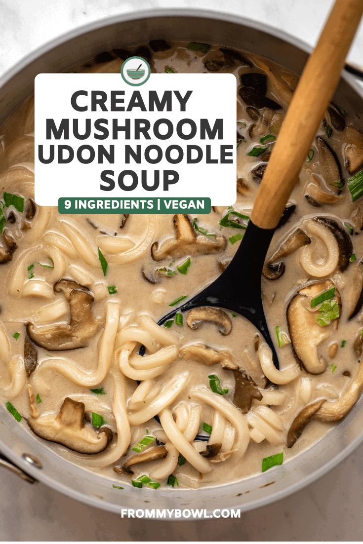 large pot of creamy mushroom noodle soup with mushroom broth, udon noodles, sauteed mushrooms, and green onions