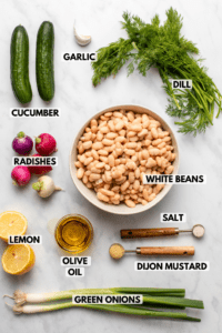 Ingredients for dilly white bean & cucumber salad arranged on a marble countertop. Clockwise text labels read garlic, dill, white beans, salt, dijon mustard, green onions, olive oil, lemon, radishes, and cucumber