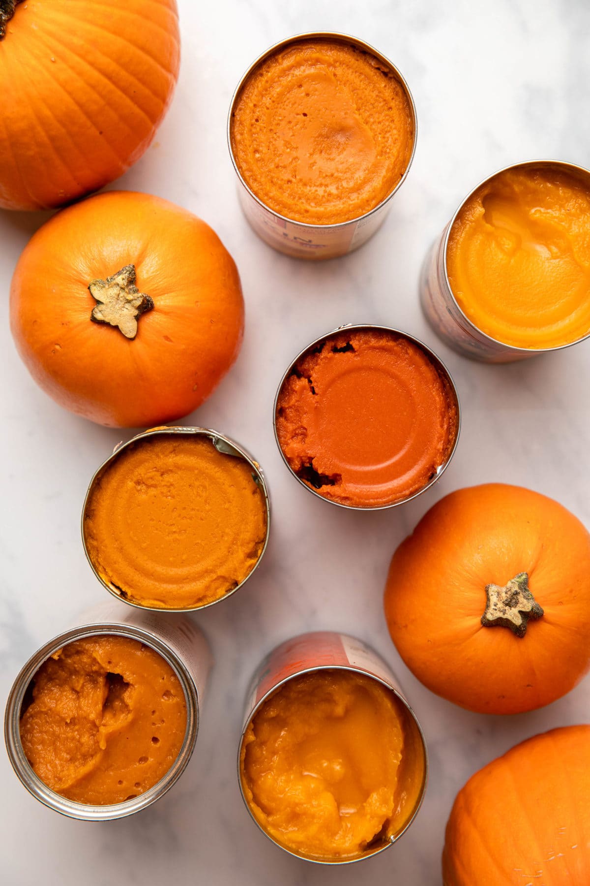 Overhead shot of open cans of pumpkin puree arranged with pie pumpkins on marble background