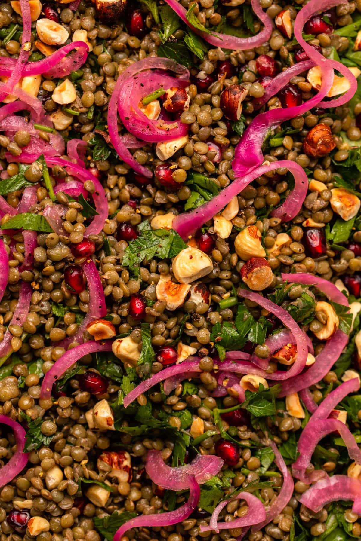 Close up photo of cooked lentils mixed with pomegranate, parsley, hazelnuts, and pickled red onions