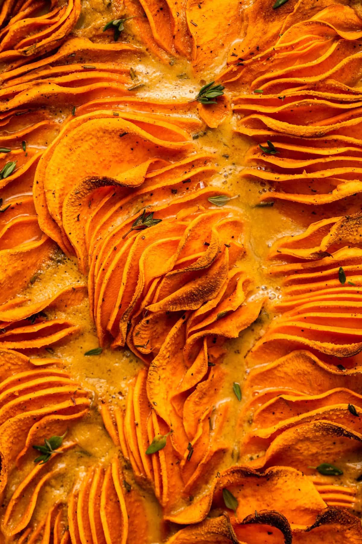 Close-up overhead photo of baked gratin garnished with fresh thyme