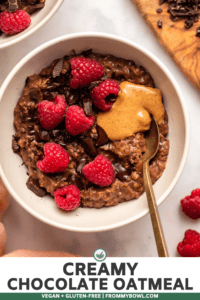 White bowl of chocolate oatmeal topped with raspberries and chocolate