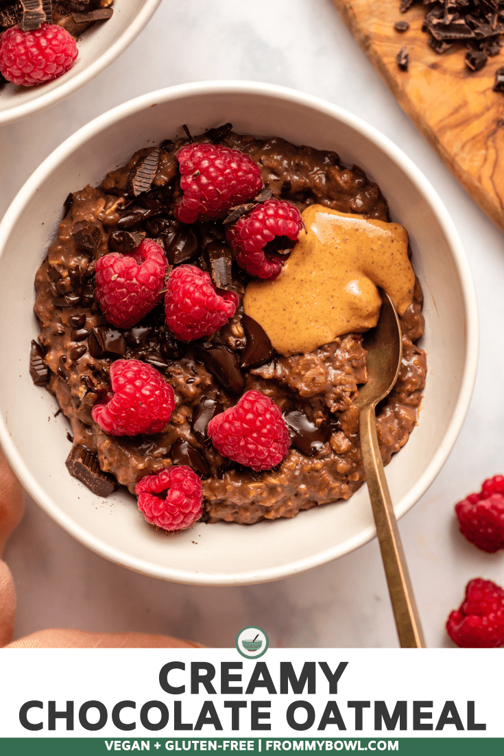 White bowl of chocolate oatmeal topped with raspberries and chocolate