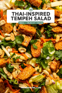 close up photo of pan-fried tempeh over lettuce, cilantro, carrot, and peanuts