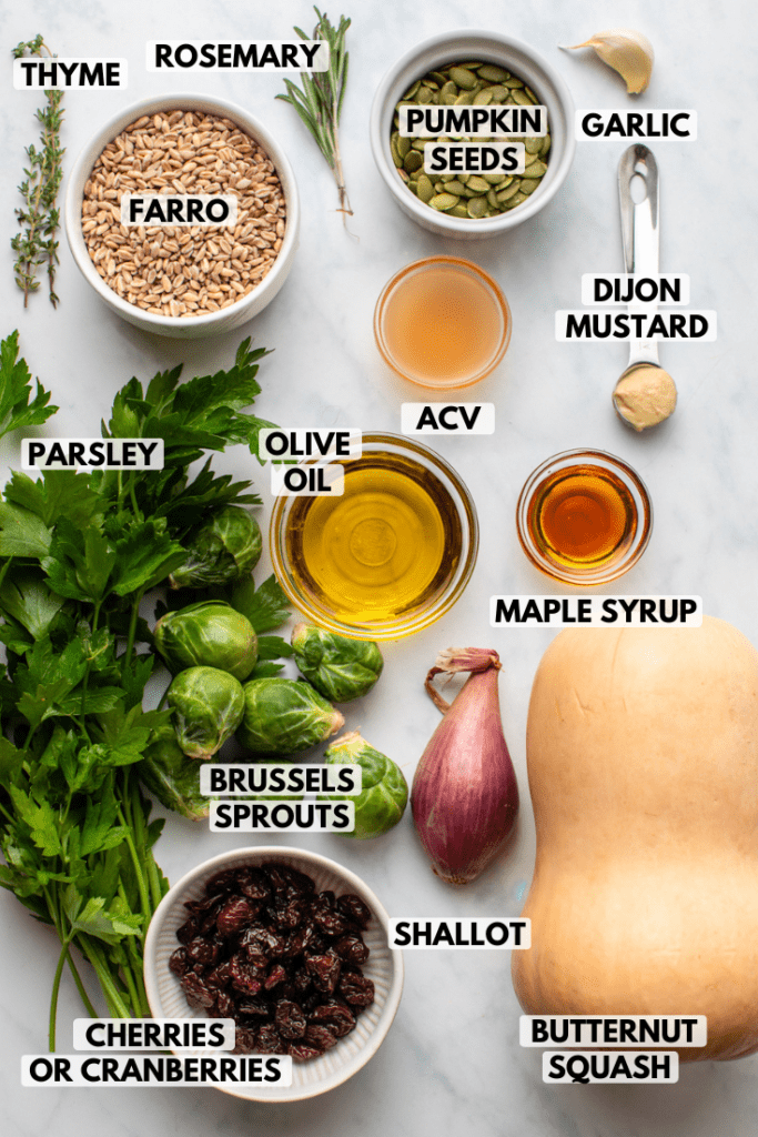 Ingredients for fall farro salad arranged on a marble countertop