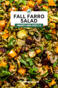 close up photo of fall farro salad