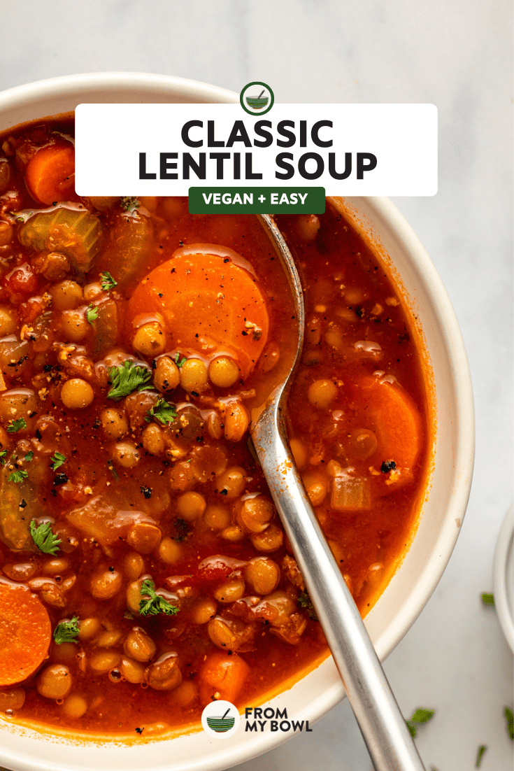 a zoomed-in image of lentil soup served in a white bowl with a spoon inside 