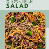 a zoomed in image of soba noodle salad