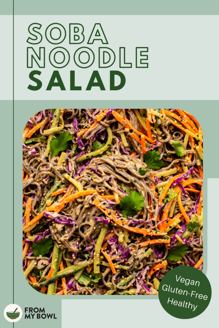 a zoomed in image of soba noodle salad