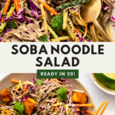 two images of the soba noodle salad with the image on top being a zoomed in one and the image on bottom showing the salad served with crispy tofu