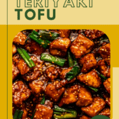 a zoomed in image of teriyaki tofu
