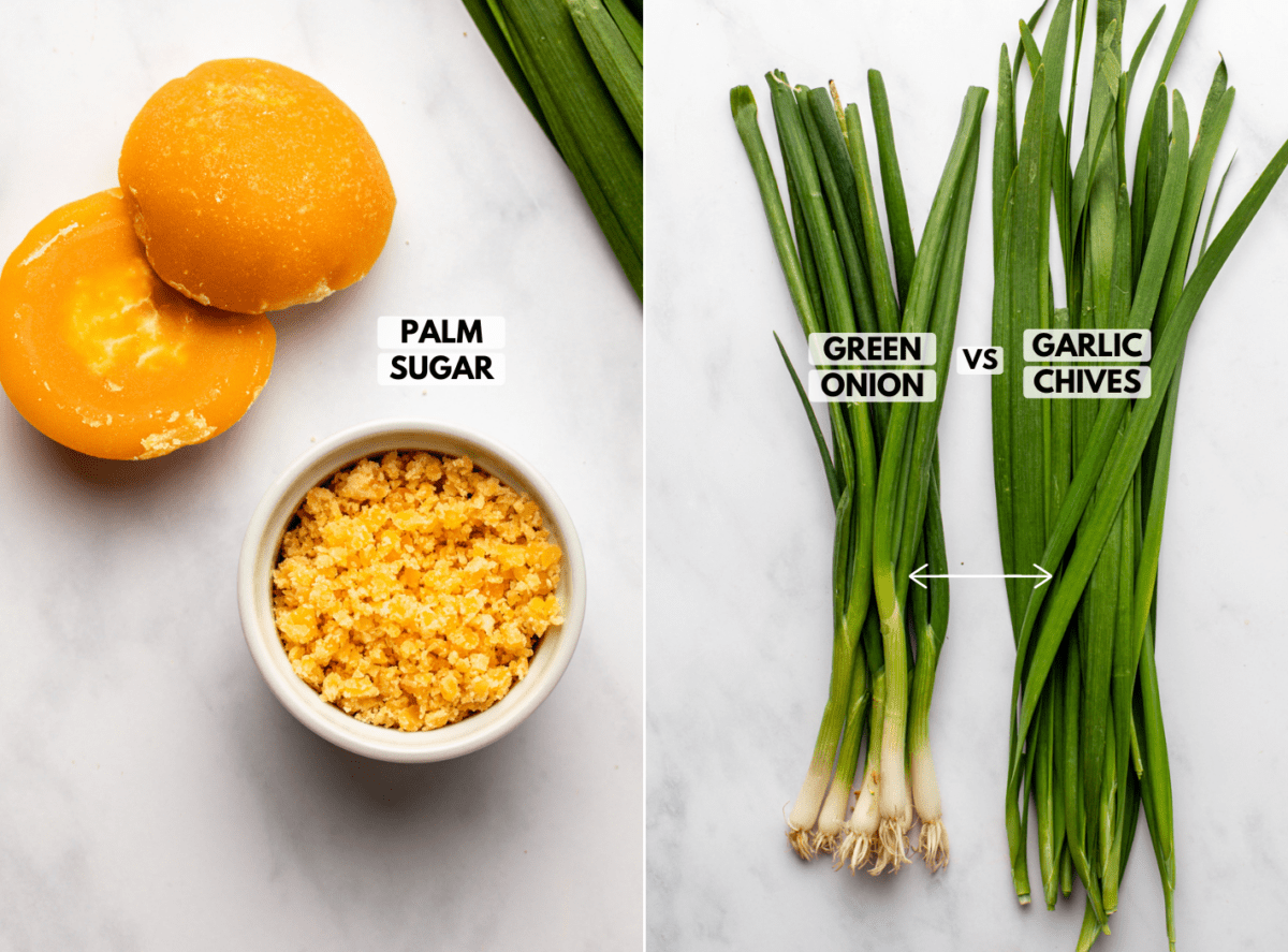 side-by-side photos of palm sugar and green onions and garlic chives side by side
