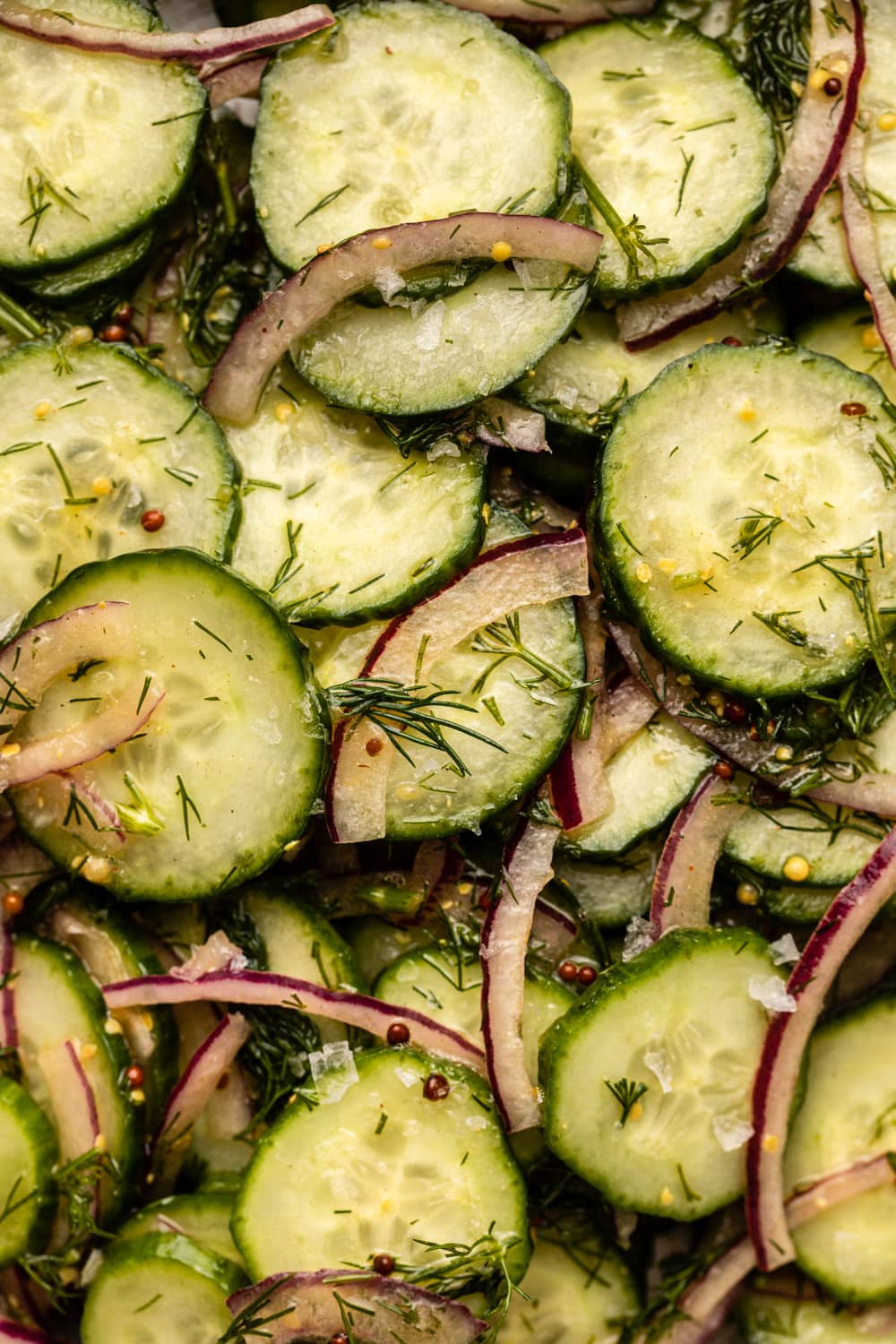 a zoomed-in image of cucumber dill salad