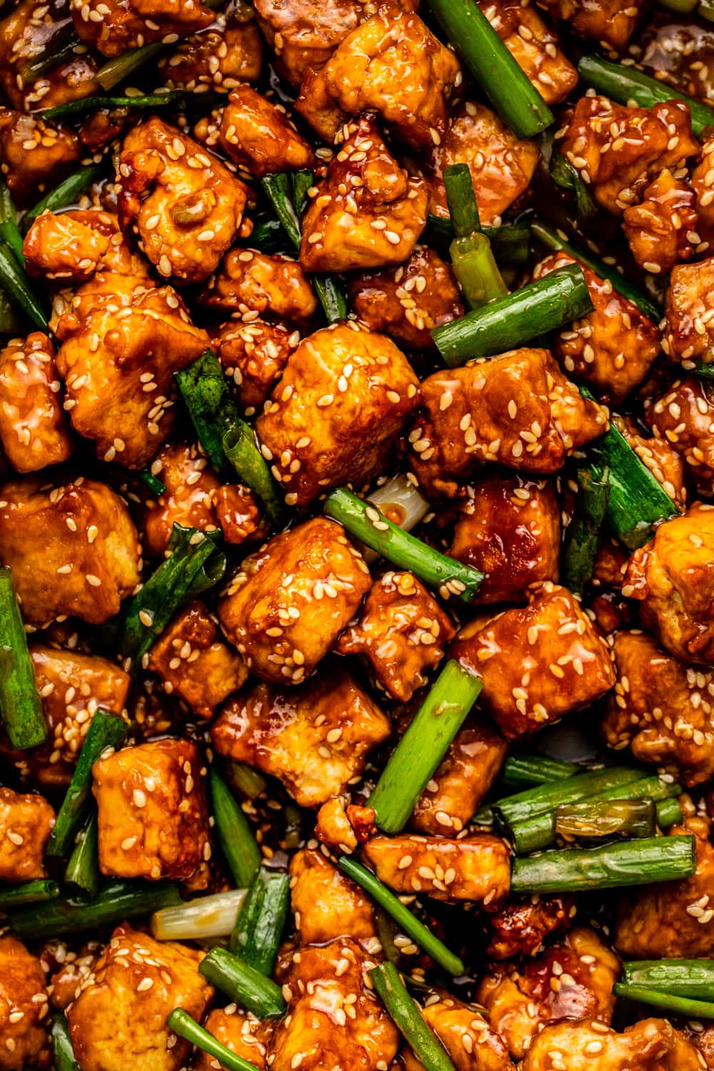 a zoomed in image of sesame tofu