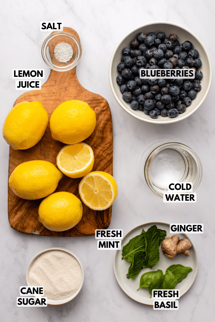 ingredients for blueberry lemonade laid out on a kitchen countertop