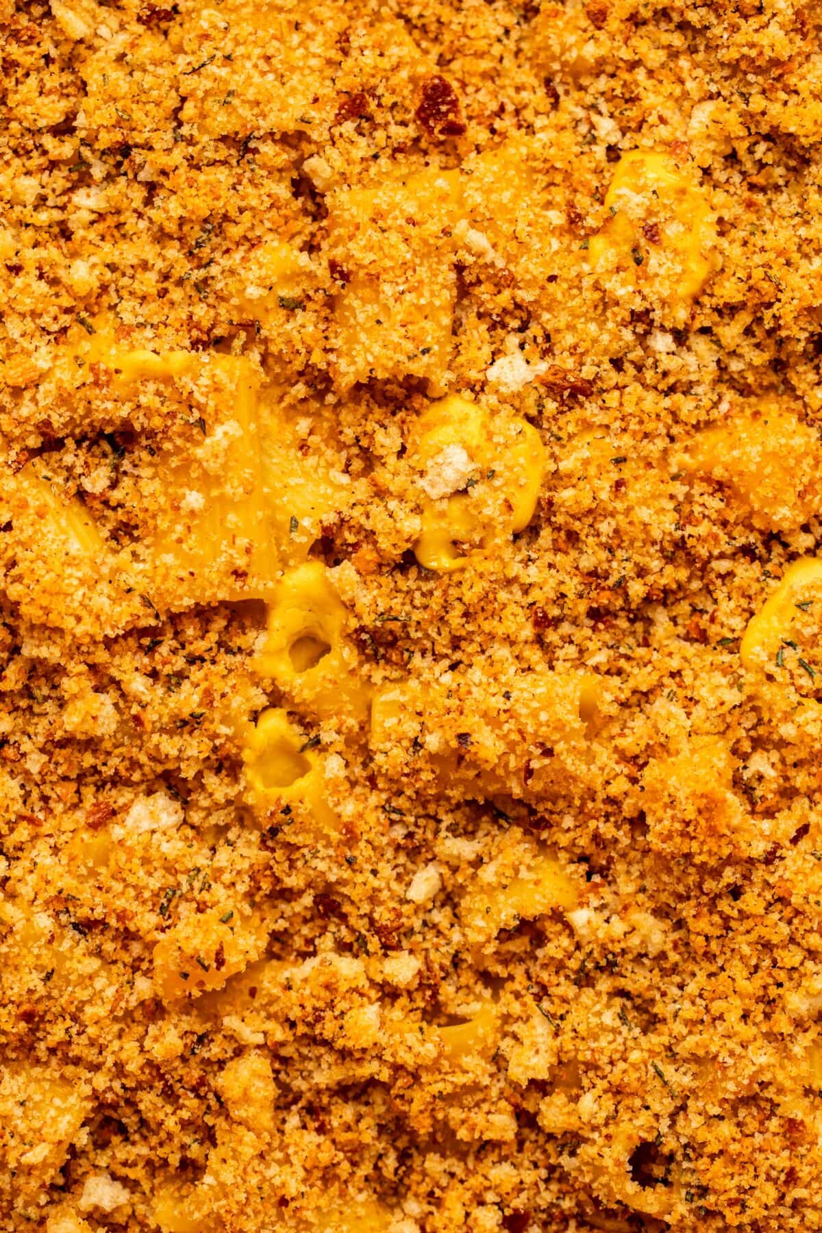 a zoomed in image of the baked pumpkin mac & cheese