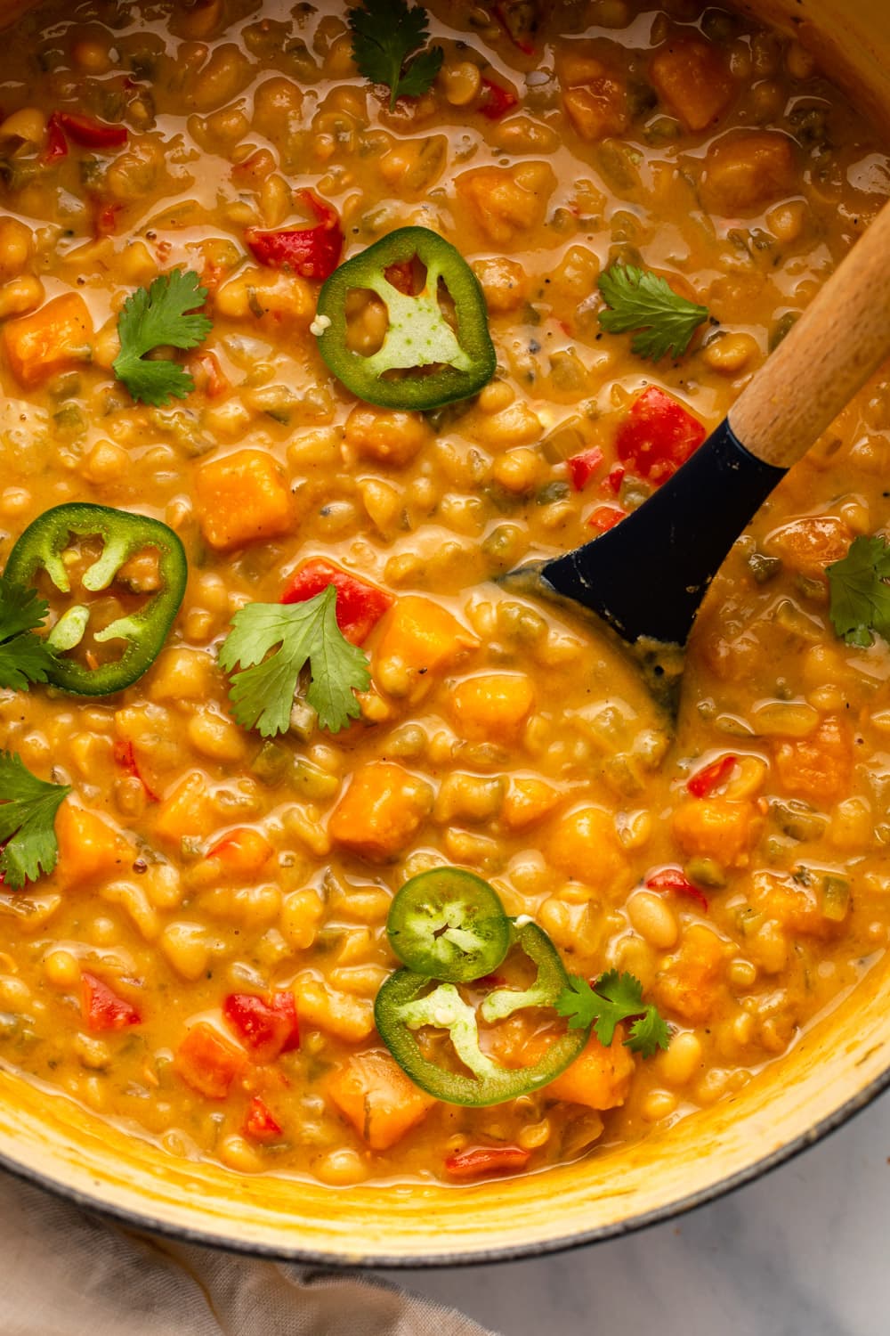 a zoomed in photo of butternut squash white bean chili