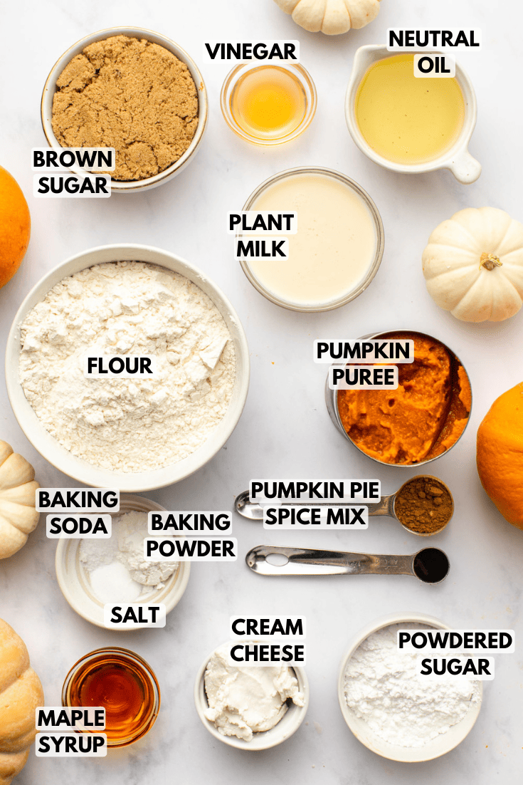 ingredients for vegan pumpkin bread laid out on a marble kitchen countertop