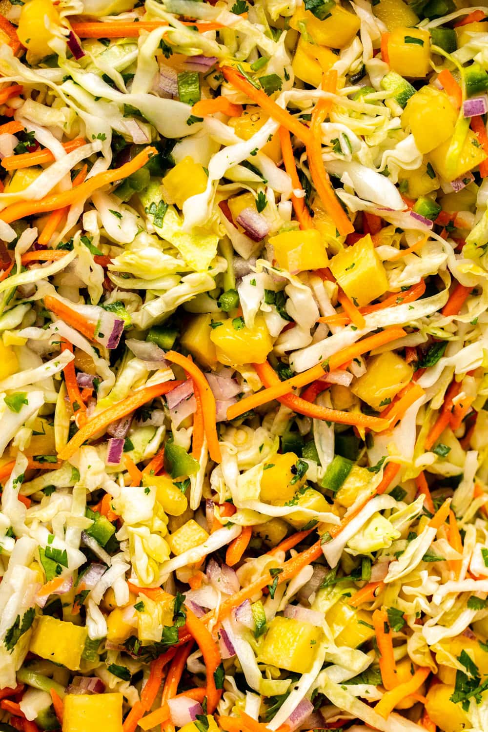 a zoomed in photo of pineapple coleslaw to show its texture